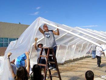 Time to cover that hoop house